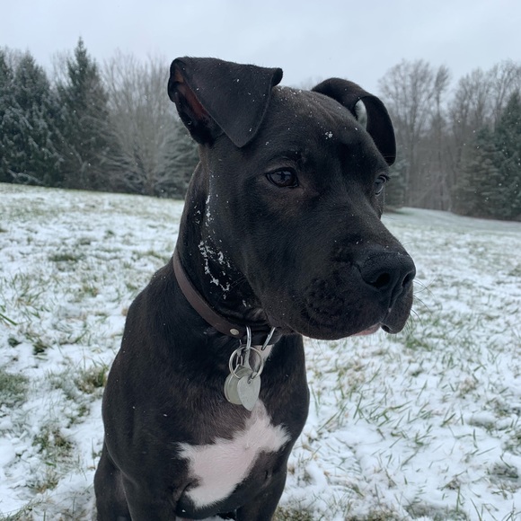 Meet your Posher, Claire - Picture 1 of 1